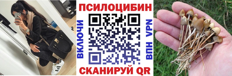 Псилоцибиновые грибы ЛСД kraken ONION Приволжский сколько стоит